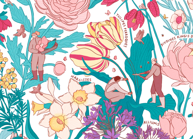 Illustration pour Nebbia Studio